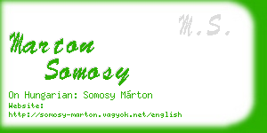 marton somosy business card